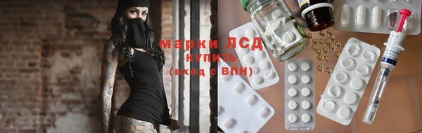 spice Новодвинск